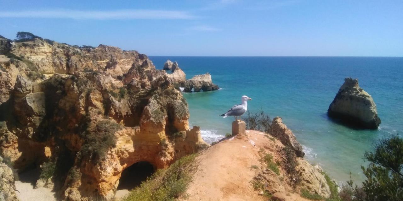 T2 De Luxo Em Albur-Village A 10 Minutos Da Praia A Pe Alvor Dış mekan fotoğraf